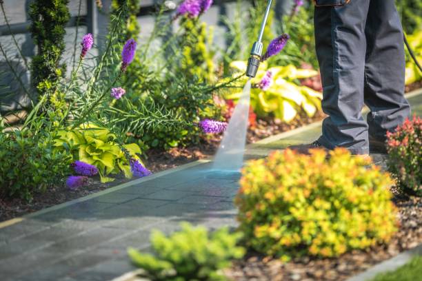 Best Gas Station Cleaning  in Forest Hills, MI