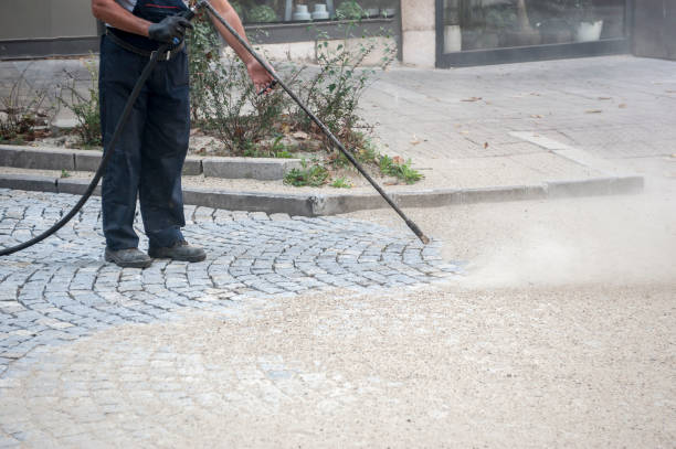 Best Roof Washing  in Forest Hills, MI